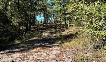 1011 Granny Hollar Rd, Atkins, AR 72823