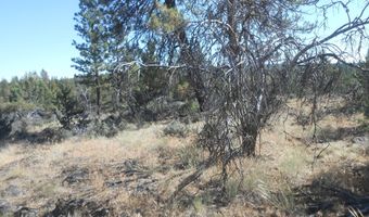 Ground Squirrel Drive, Bonanza, OR 97623