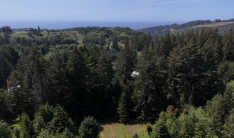 20452 Whaleshead Rd, Brookings, OR 97415