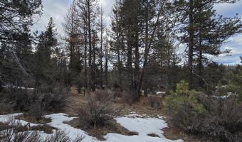 Jaguar Lane Lot 7 & 8, Bonanza, OR 97623
