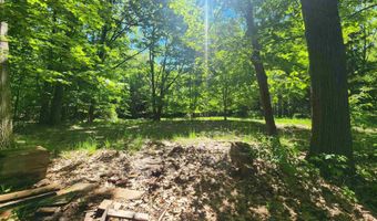 18219 Northwood Hwy, Arcadia, MI 49613