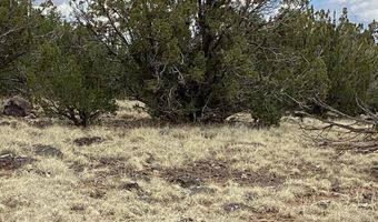 207 ACR 8056 Rd 218, Concho, AZ 85924