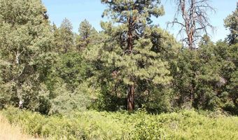 190 Jackalope Dr, Bayfield, CO 81122
