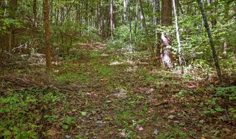 299 SUNRISE Dr, Afton, VA 22920