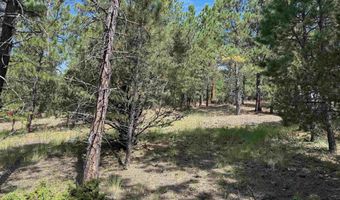 Upper Rd lot 18, Angel Fire, NM 87710