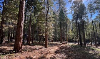 646 Dean Way, Arnold, CA 95223