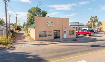 616 Fort Hall Ave, American Falls, ID 83211