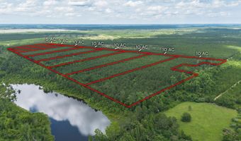 Tract 13 Sanderling, Alma, GA 31510