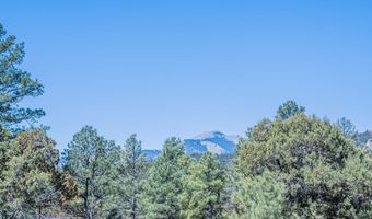 1097 State Hwy 48, Alto, NM 88312