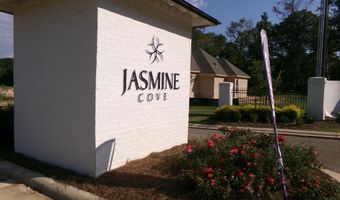 102 Jasmine Cove Dr, Brandon, MS 39042