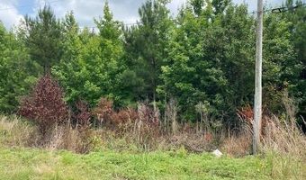 Lot 1-C Daniels Lane, Bennettsville, SC 29512