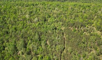 Tract 46 Trail Ridge Rd, Albion, OK 74571