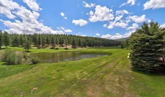 13 Woodlands, Angel Fire, NM 87710