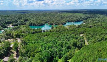Arley Lndg, Arley, AL 35541