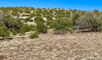 Tbd Co Rd 5062 Lot 1 3.53 Acres, Concho, AZ 85924
