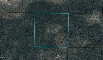 NW Camp Head Road, Altha, FL 32421