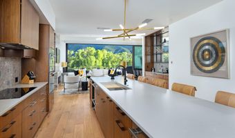 22860 Two Rivers Rd Penthouse, Basalt, CO 81621