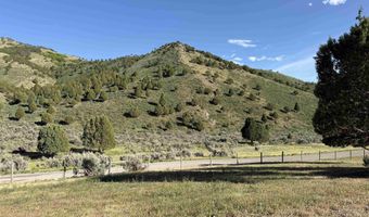 2006 Swenson Valley Rd, Bancroft, ID 83217