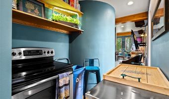 160 E Adams Ave 2, Breckenridge, CO 80424