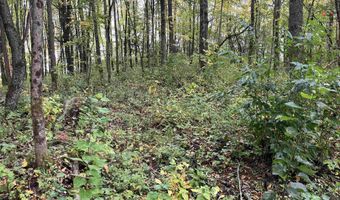 001 Duck Pond Rd Lot #1, Barton, VT 05822