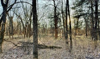 0002 CR-290, Asbury, MO 64832