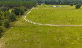 2889 67th Ct, Bell, FL 32619