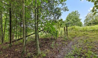 12712 Cranfield Rd, Birchwood, TN 37308