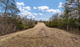 Smithtown Road, Afton, TN 37616