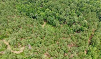 Fox Paw Court, Branchville, SC 29432