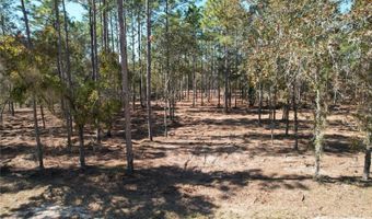 93 RD Ter, Archer, FL 32618