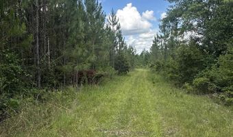 0 Highway 31, Bay Minette, AL 36507