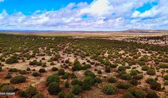 Tbd Co Rd 8256 Lot E 10 Acres, Concho, AZ 85924
