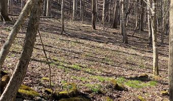 Lot 5 Lakespur Trail, Banner Elk, NC 28604