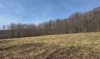 Lot 2 Doig Hollow Road, Andes, NY 13731