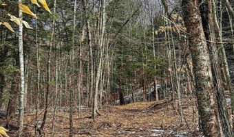 441 Tower Rd, Barnet, VT 05821