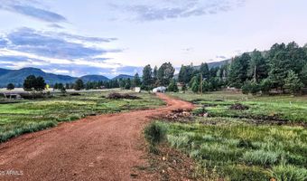 8 N COUNTY ROAD N2062 008, Alpine, AZ 85920