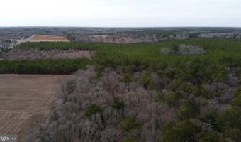 21063 WILSON Rd, Georgetown, DE 19947