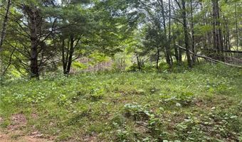 1143 Rominger Rd, Banner Elk, NC 28604