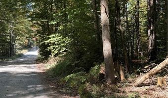 Beaver Trail lot # 1, Alder Creek, NY 13301