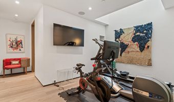 219 N Monarch St, Aspen, CO 81611