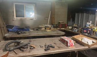 2486 Bloom Rd, Alpena, MI 49707