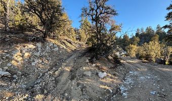 Ironwood, Angelus Oaks, CA 92305