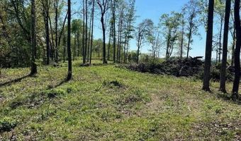 Tract 2 Mill Creek Rd, Andersonville, TN 37705