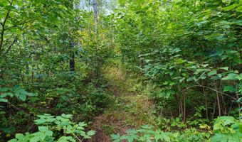 Double Bend Road, Argonne, WI 54511