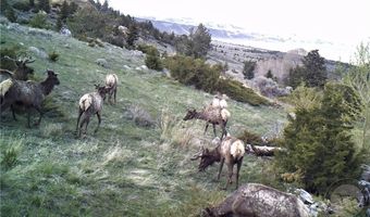 Tbd Gold Creek Way, Belfry, MT 59008