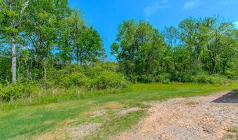 2100 Ferndale Cv, Alexander, AR 72002