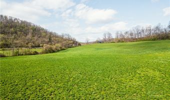 47691 E Captina Highway Rd, Alledonia, OH 43902