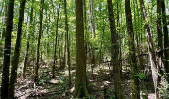 Williams Street, Brookhaven, MS 39601