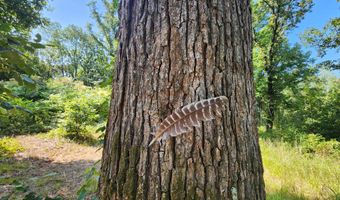 Barnacre Road, Batesville, MS 38606