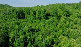 Todd Road, Advance, NC 27006